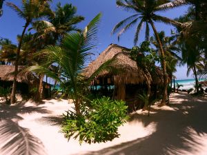 Diamante K - Inside Tulum National Park