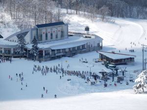 Madarao Elm Pension