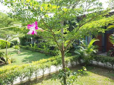 รูปภาพของอันดาวาลันตา รีสอร์ท