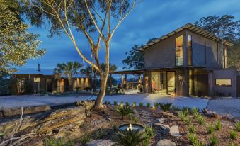 a modern house with a large tree in the front yard and a fire pit in the middle at Spicers Sangoma Retreat