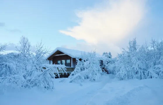 傑薩斯賽爾福斯酒店