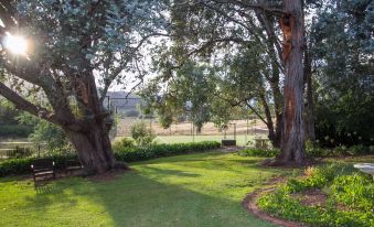 a beautiful garden with large trees , a bench , and a view of the surrounding area at Stay in Mudgee