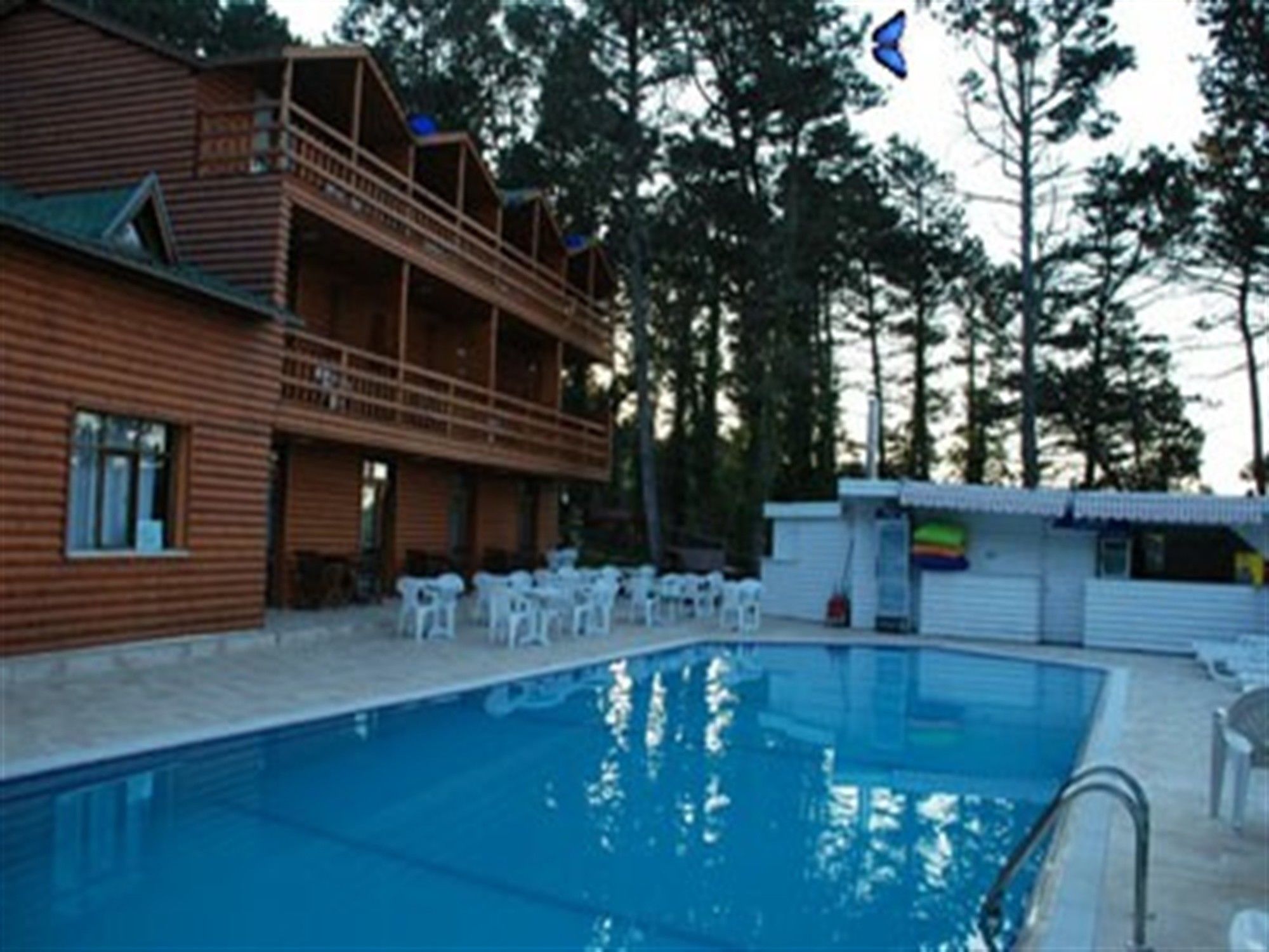 Ağva Orman Evleri Forest Lodge (Agva Orman Evleri Forest Lodge)