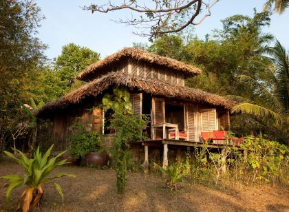 マンゴー ベイ リゾート