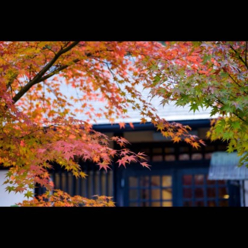 ひよしフォレストリゾート山の家 南丹市 を宿泊予約 22年安い料金プラン 口コミ 部屋写真 Trip Com
