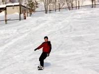雪紫日式旅館