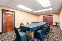 Quality Inn & Suites Tarpon Springs South - spa