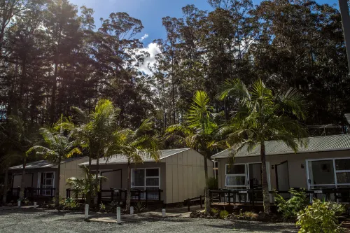 Woodlands Motel Hôtels à : Kerikeri