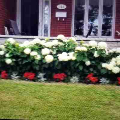 Gite du Passant Rosedort Hotel Exterior