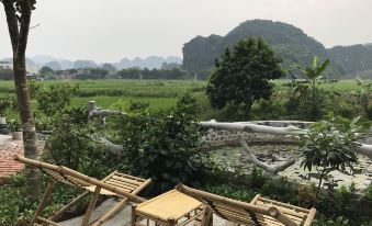 Tam Coc Mr.Loa Homestay