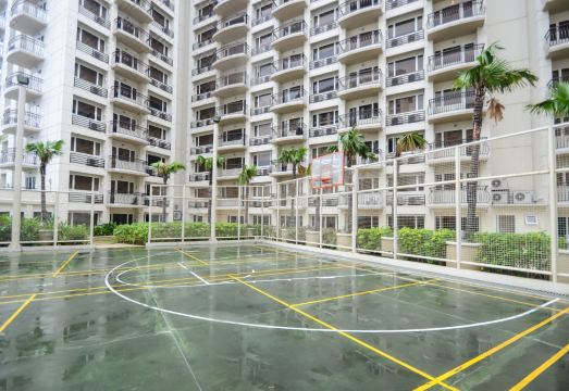 익스트리멜리 스위트 마닐라 이미지