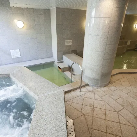HOTEL MYSTAYS Premier Sapporo Park