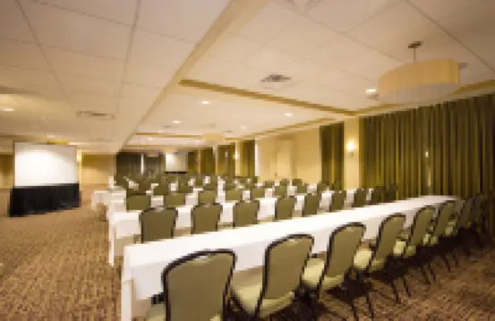 Holiday Inn METAIRIE NEW ORLEANS by IHG - internet