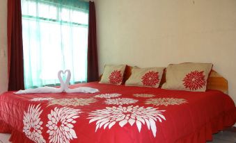 Hotel & Hostel Sloth Backpackers