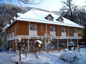 Kurpark Flair Hotel Im Ilsetal