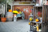Weinhotel / Gasthaus Zur Sonne Hotels in Breisach am Rhein