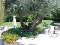Myrto Hotel Hotels in Marathon