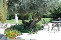 Myrto Hotel Hotels in Rafina-Pikermi