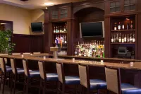 Sheraton Baltimore Washington Airport Hotel - BWI - bar