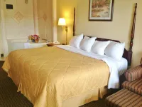 American Inn - Paducah
