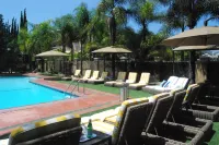 Hollywood Hotel - Beach