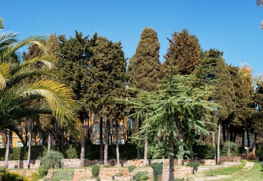 엑셀 로마 몬테마리오 야외 수영장