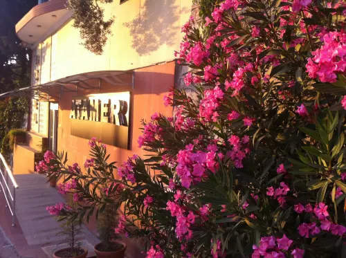阿塔邁爾多加度假酒店 - Wi-Fi