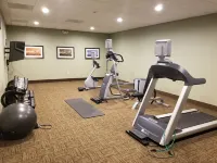 Staybridge Suites TOLEDO - ROSSFORD - PERRYSBURG by IHG - Træningscentre