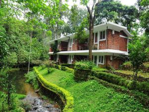 Falling Waters Munnar