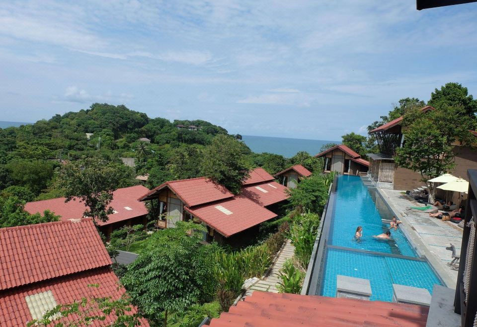 3. 알라마 씨 빌리..