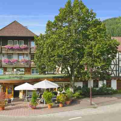 Hotel Lamm Hotel Exterior