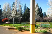 Westhaven Inn Hotels in Pollock Pines