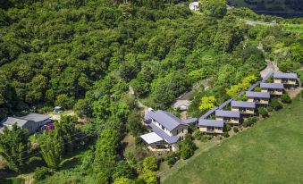 an aerial view of a large house nestled in a lush green forest , surrounded by trees and grass at Top of the Hill