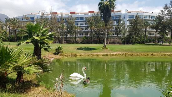 Gara Suites Golf & Spa-Playa de las Americas Updated 2022 Room  Price-Reviews & Deals | Trip.com