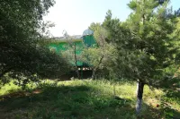 Recreation Zone Dustlik Hotels near Dol Metallurg