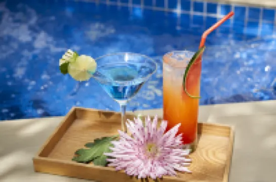 風之度假村 – 熱帶山丘度假天堂