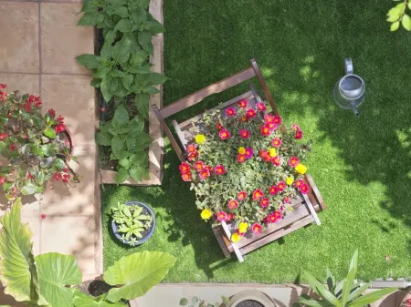 Flower Pot Complex Aparts!