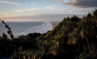 Muriwai Beach Memories