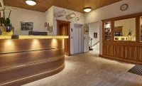 Hotel Ambassador Hotels in Brig