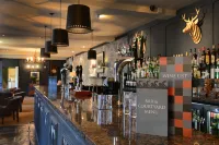 The Swan Hotel - Baarit
