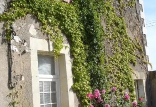 樂比諾亞斯酒店