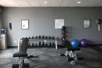 Holiday Inn 芝加哥OAKBROOK 奧克布魯克特萊斯住宿飯店
