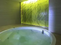 曼谷鉑爾曼G酒店 - SPA