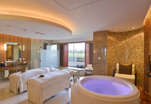 멜리아 데저트 팜 두바이의 수영장과 야자수