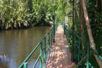 Artist's Place Trat