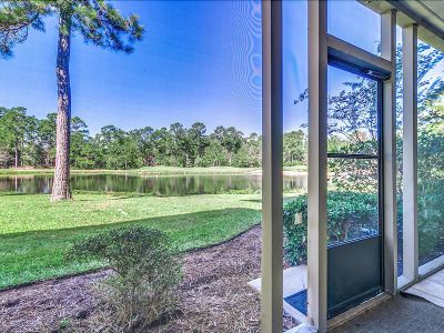 Public Areas #4B True Blue - 2 Br Condo by RedAwning Photo