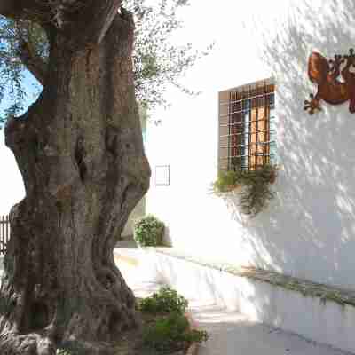 Santo Mercurio Country House Hotel Exterior