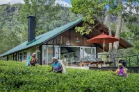 Madulkelle Tea and Eco Lodge