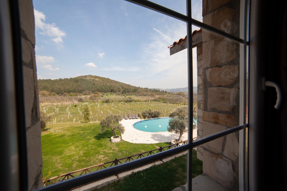 Vinifera Hotel Yedi Bilgeler Vineyards