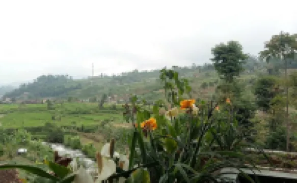 Villa Penginapan Purnama